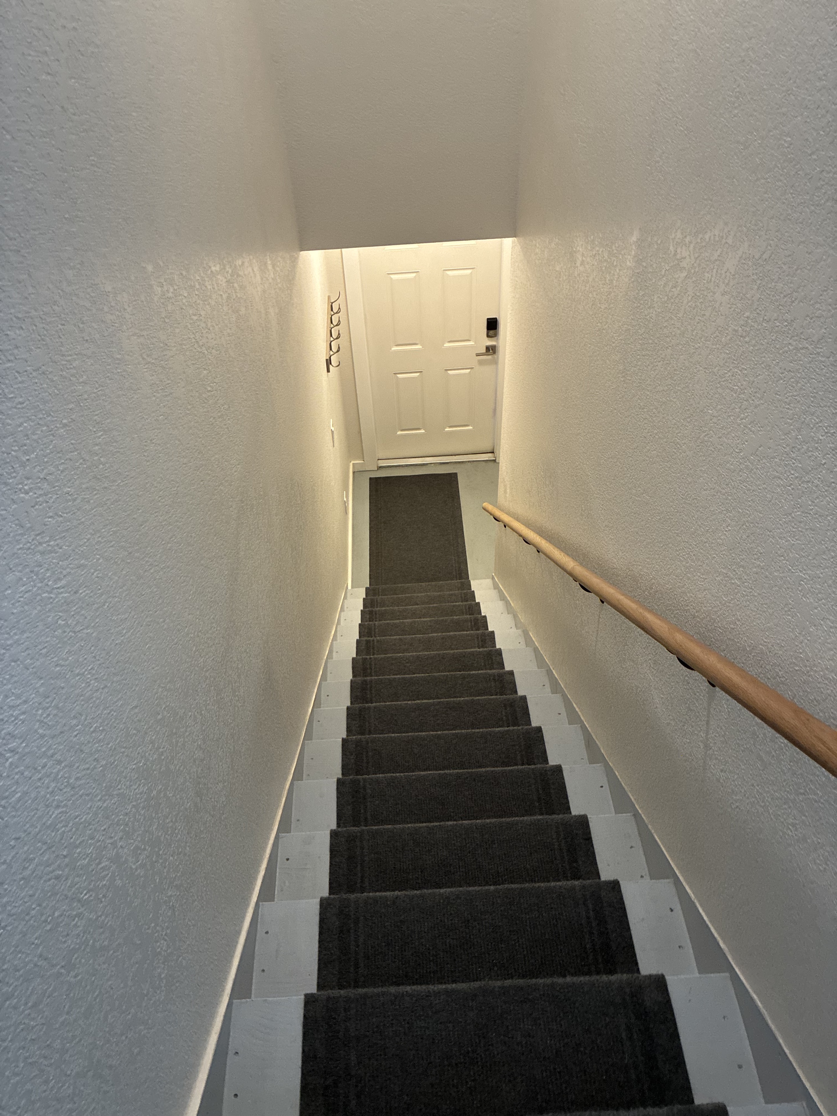 Clean stairwell with carpet runner and entry door